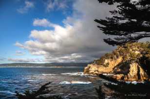 Point Lobos-8015